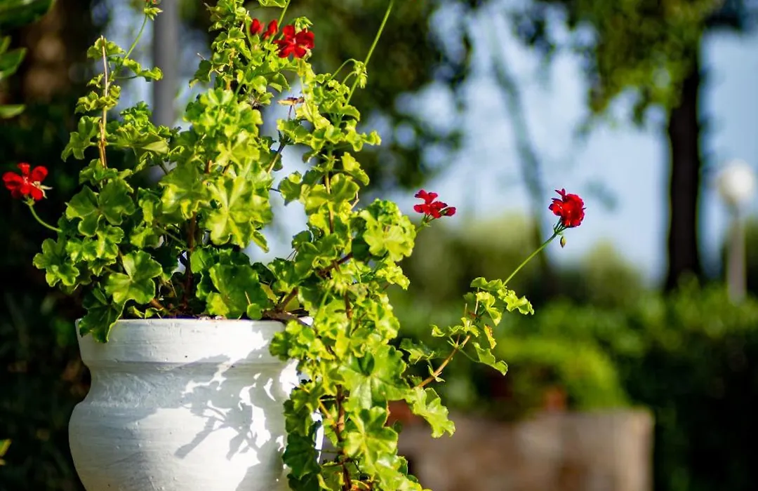 Antica Casina B&B di Charme-1